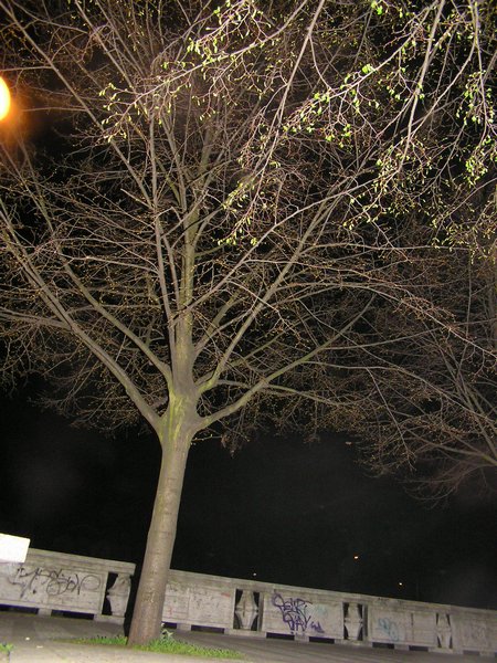 P1010331.JPG