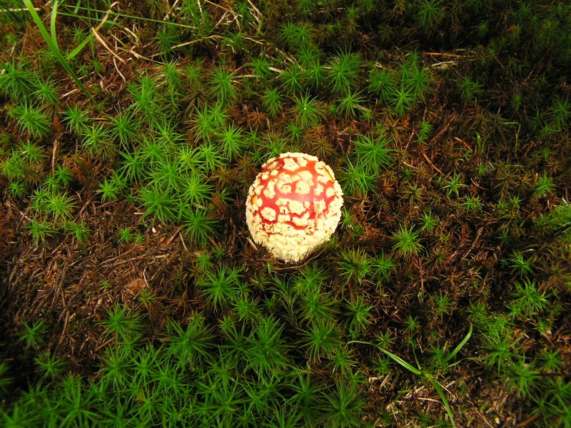 P7280153.JPG