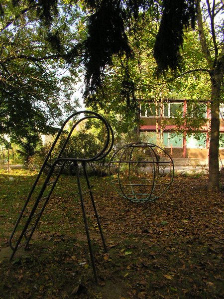 P9170139.JPG