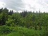 P5200083.JPG