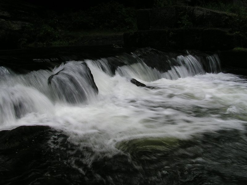 P7120108.JPG
