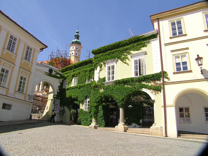 P1010117.JPG