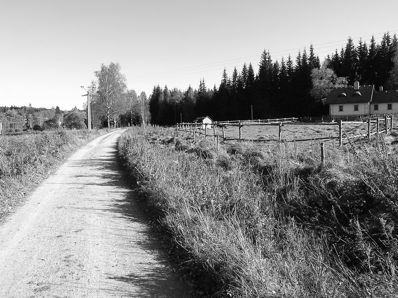 P1010128.JPG
