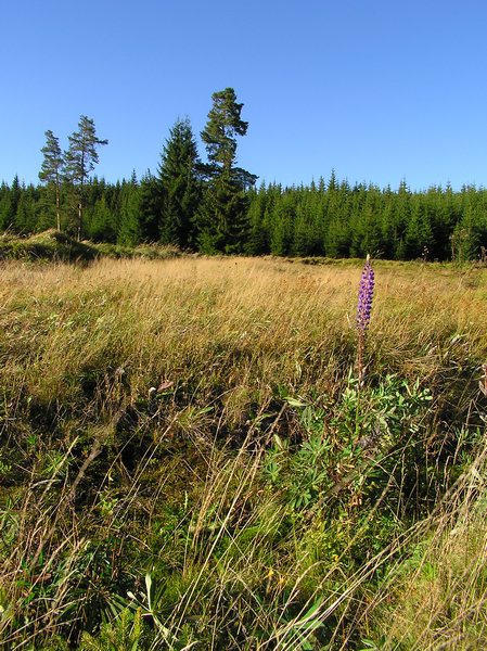 P1010132.JPG