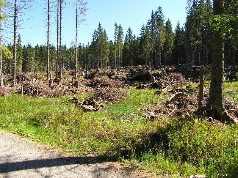 P1010177.JPG