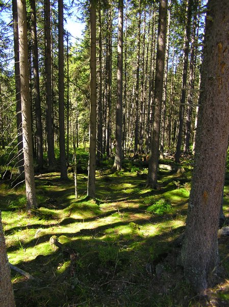 P1010182.JPG