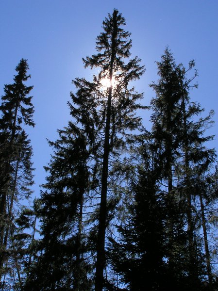 P1010216.JPG