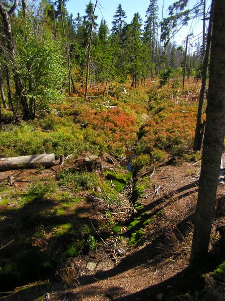 P1010229.JPG