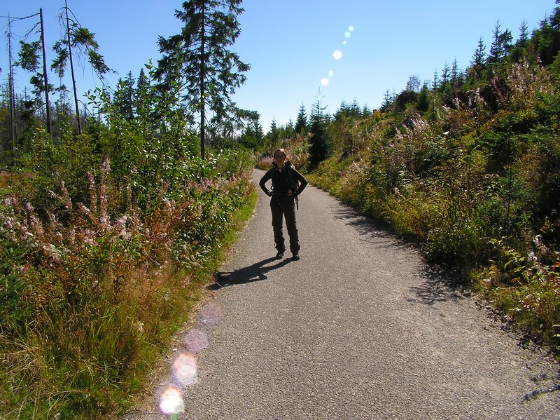 P1010230.JPG