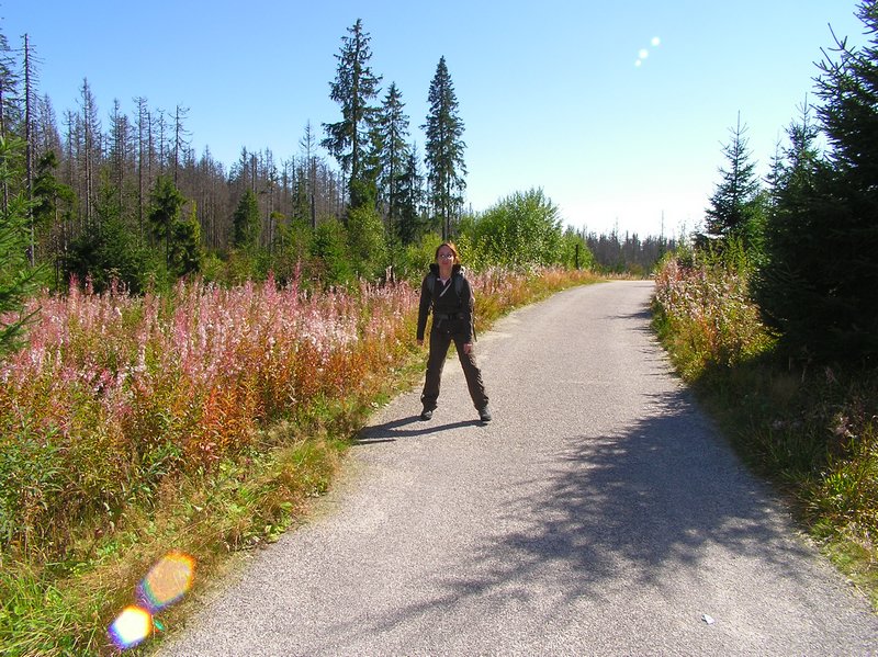 P1010231.JPG