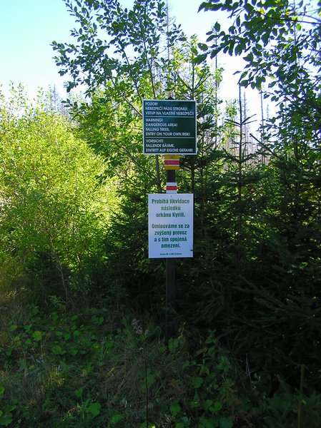 P1010234.JPG