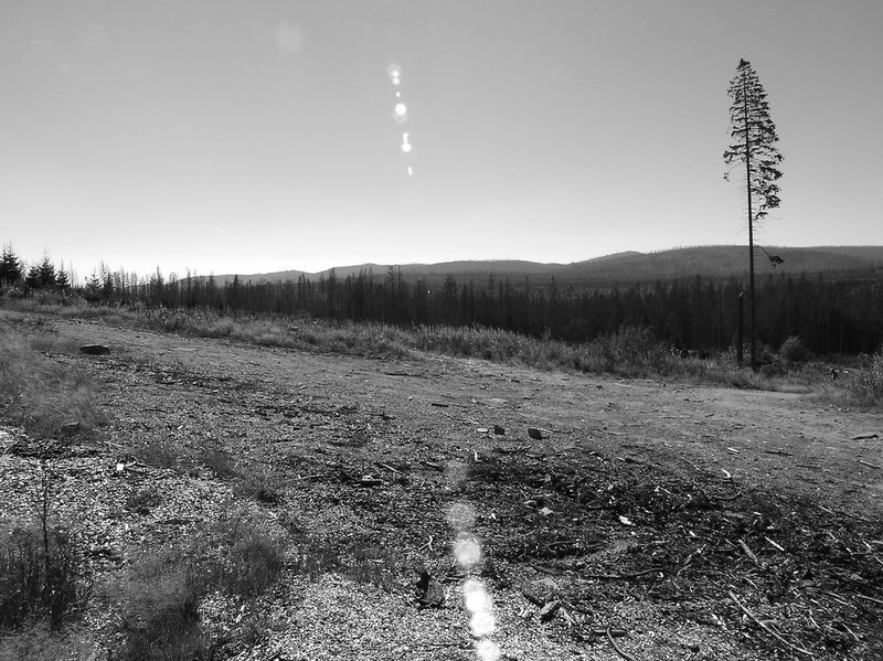 P1010237.JPG