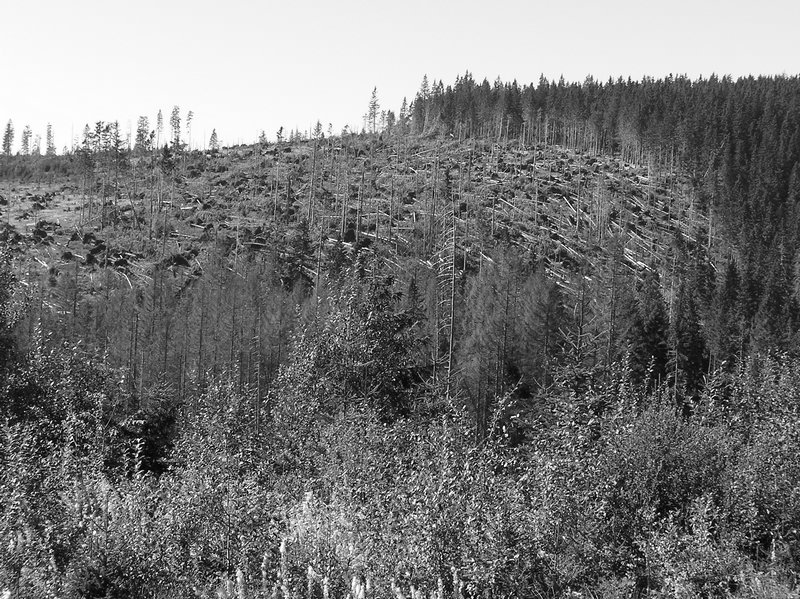 P1010239.JPG