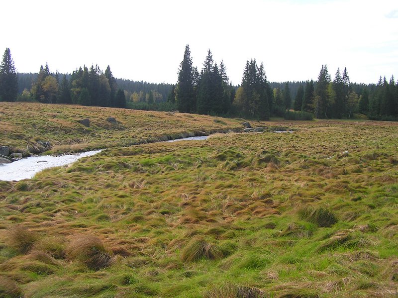 P1010267.JPG