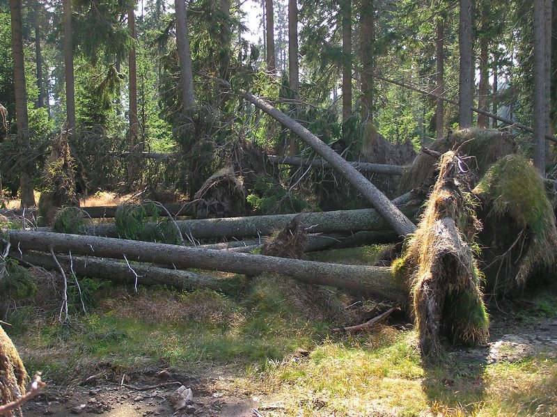 P1010308.JPG
