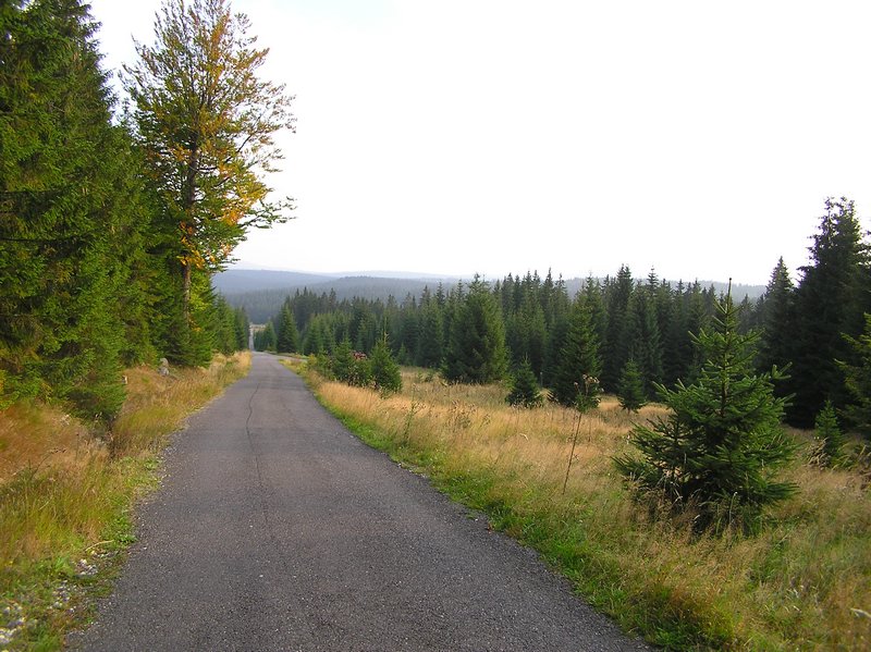 P1010387.JPG