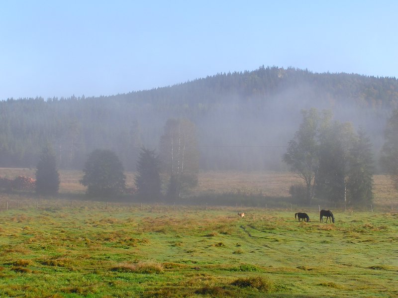 P1010396.JPG