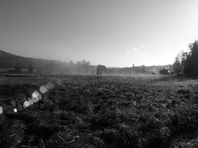P1010399.JPG