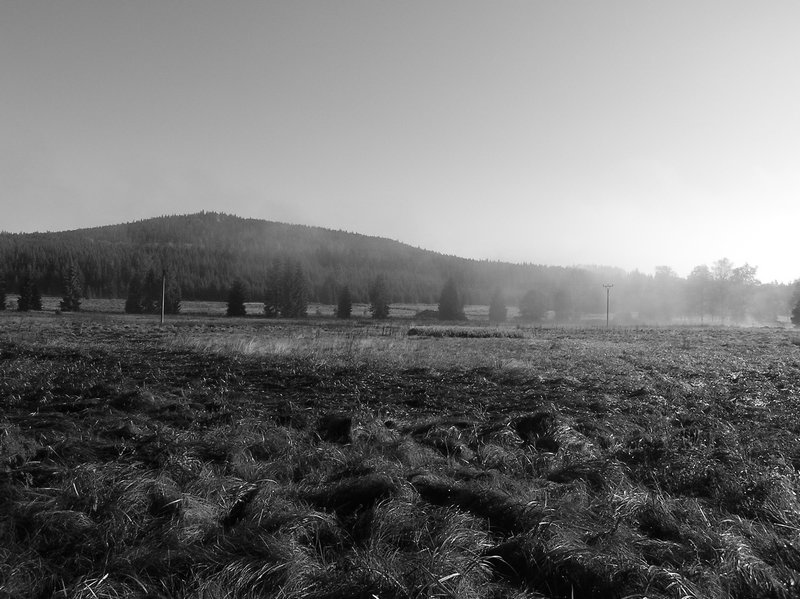 P1010401.JPG