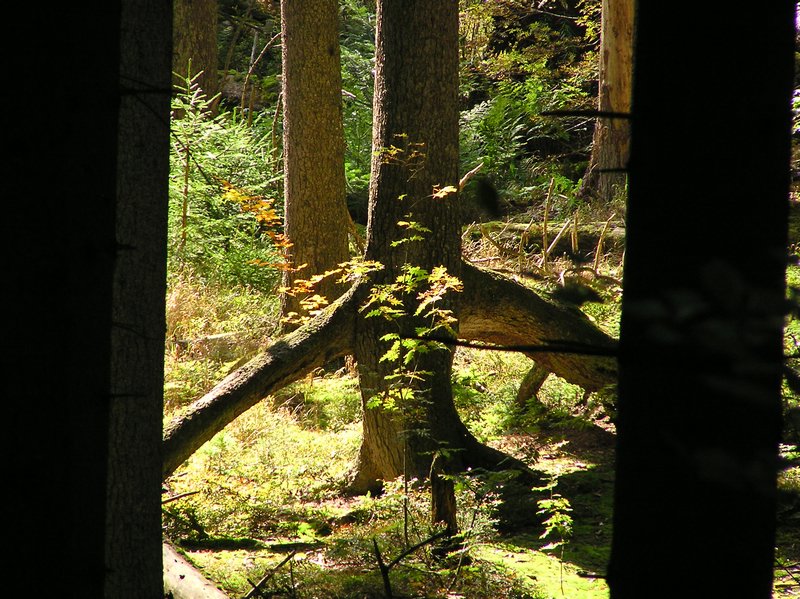 P1010443.JPG