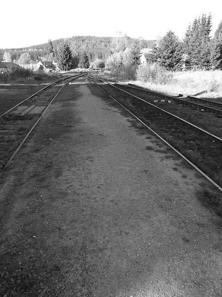P1010528.JPG