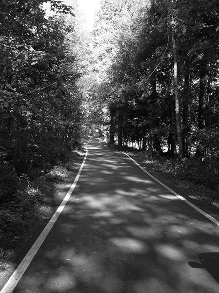 P1010533.JPG