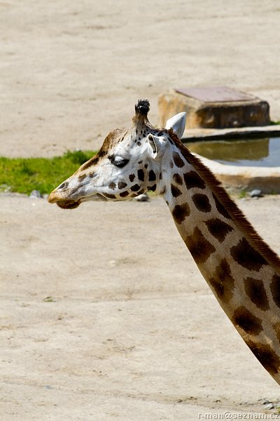 IMG_3184.JPG