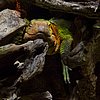 IMG_3010.JPG