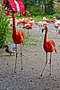 IMG_3021.JPG