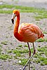 IMG_3031.JPG