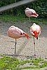 IMG_3040.JPG