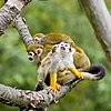 IMG_3071.JPG
