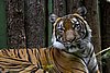 IMG_3078.JPG