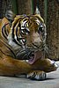 IMG_3099.JPG