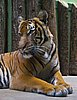 IMG_3101.JPG
