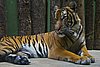 IMG_3102.JPG