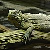IMG_3103.JPG