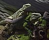IMG_3107.JPG