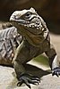 IMG_3112.JPG