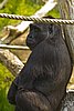 IMG_3124.JPG