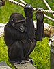 IMG_3126.JPG