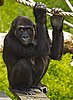 IMG_3127.JPG