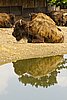 IMG_3141.JPG