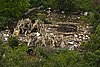 IMG_3156.JPG