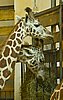 IMG_3174.JPG