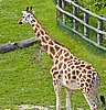 IMG_3182.JPG