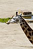 IMG_3184.JPG