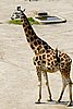 IMG_3185.JPG