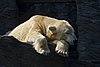 IMG_3187.JPG