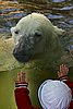 IMG_3205.JPG